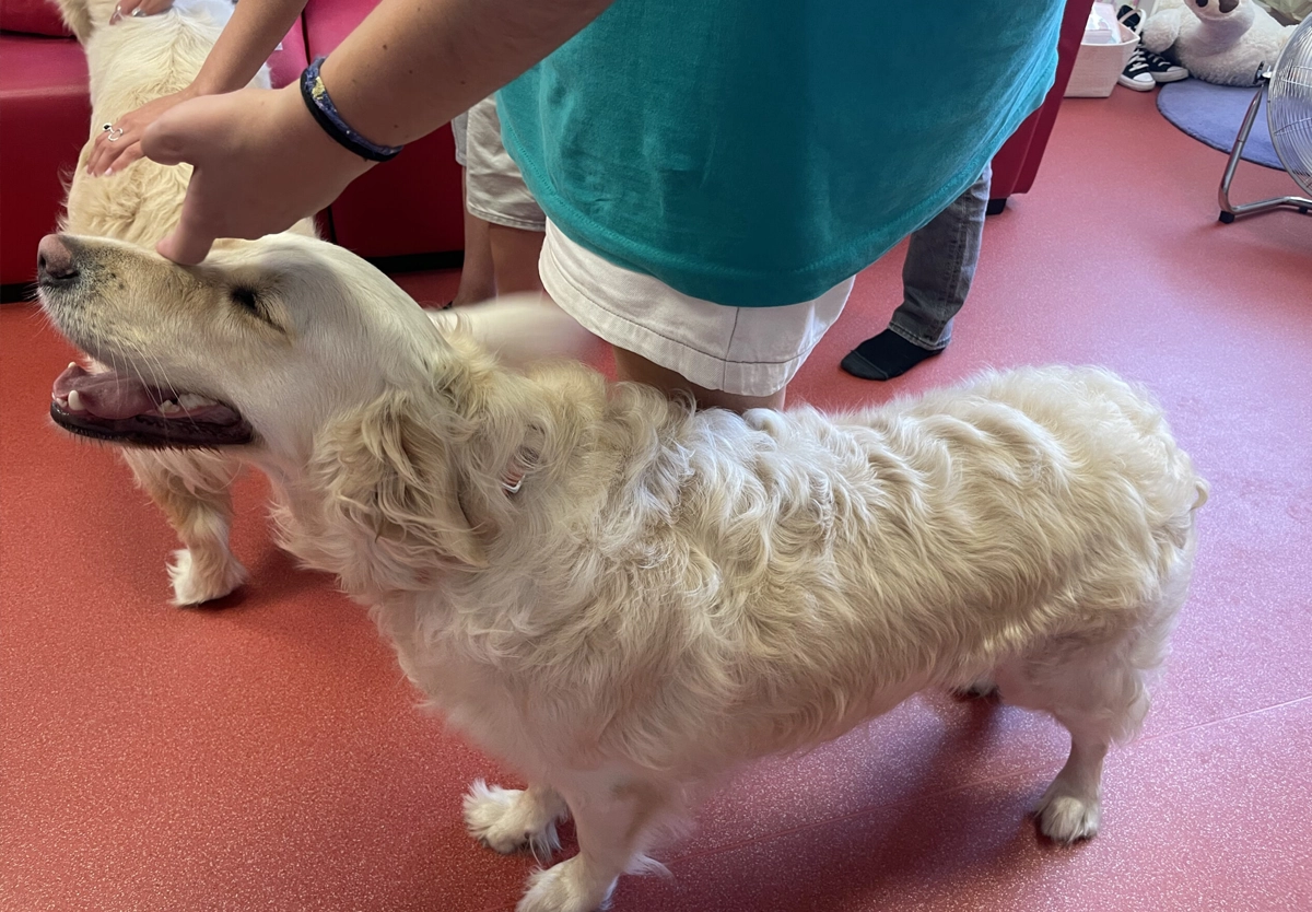 Participante asistida con perro