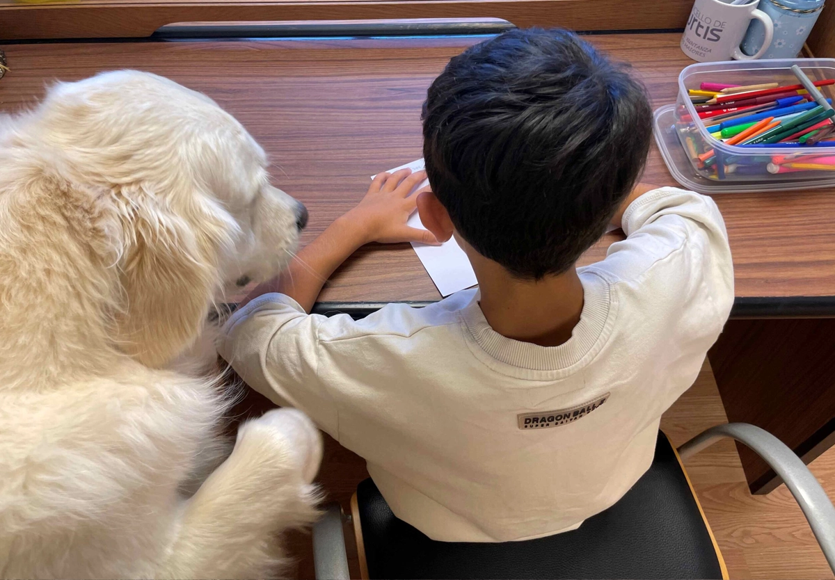 Perro de terapia junto a niño dibujando