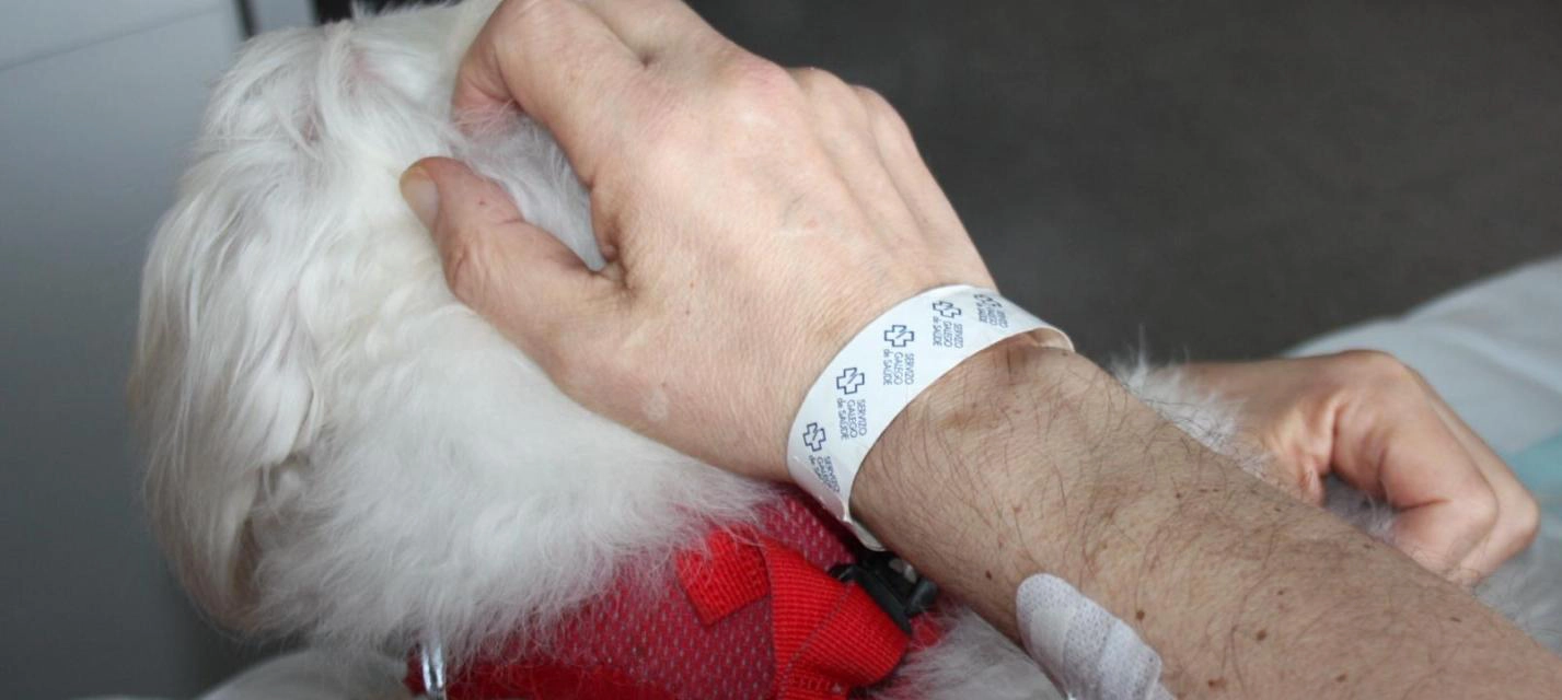 Paciente en el hospital con su mascota