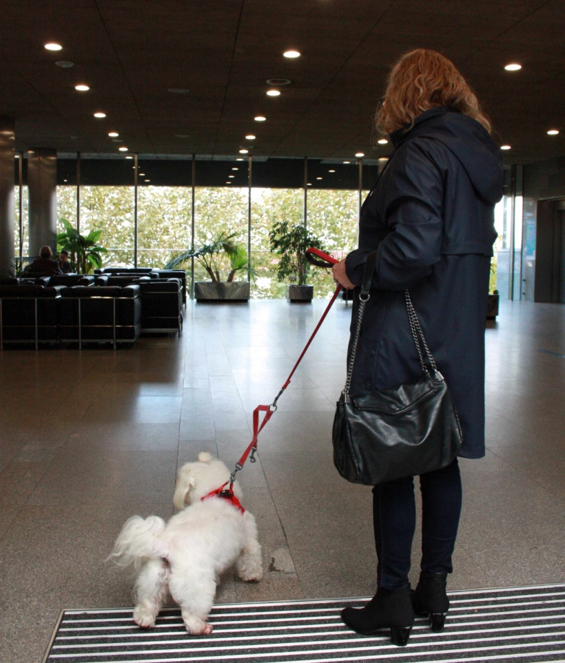 Mujer en el vestíbulo del hospital con un perro