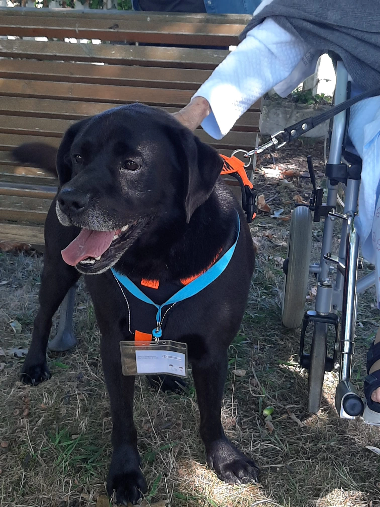 Paciente con su mascota