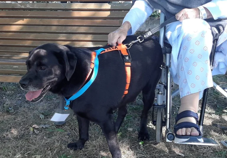 Paciente con su mascota