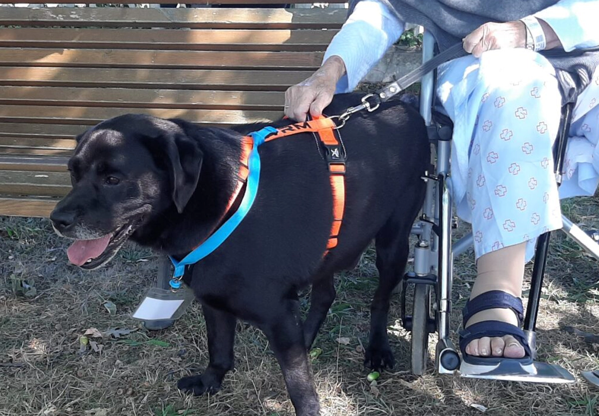 Paciente con su mascota