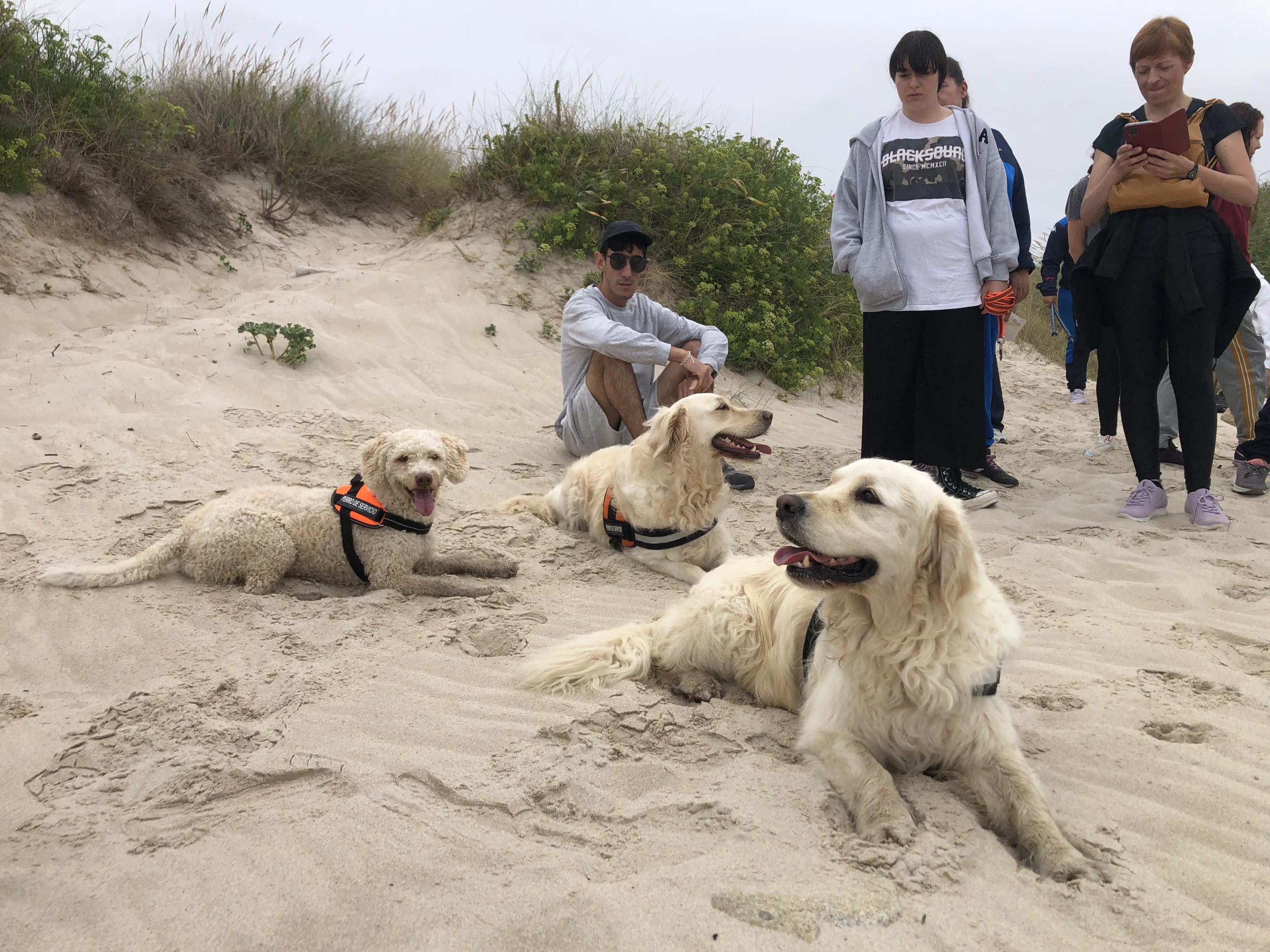 Senderistas y perros de apoyo en la playa