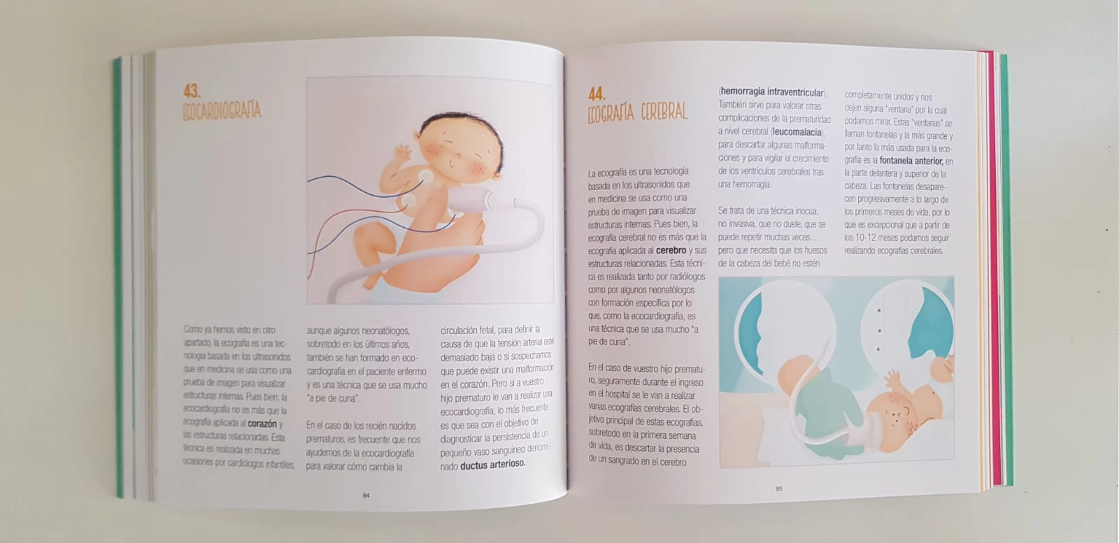 Guía gráfica "Pequeños Héroes" con ilustraciones