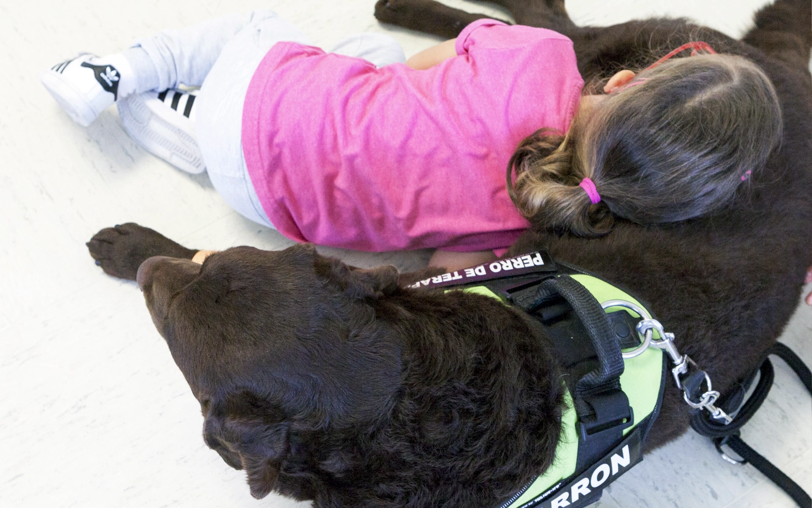 Niña con perro de terapia