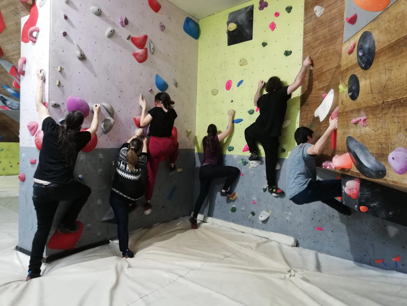 Participantes escalando en rocódromo