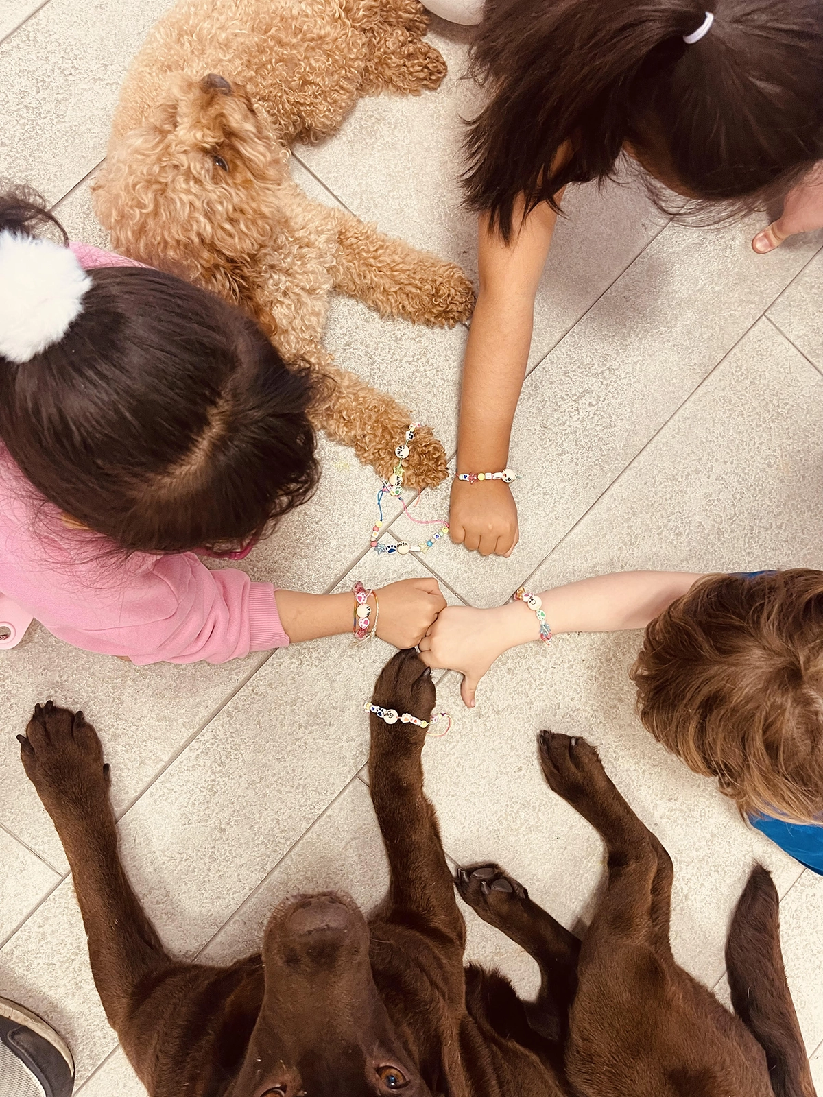 Niños y niñas chocando los puños con las patas de los perros