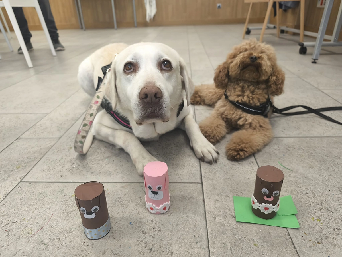 Perros de terapia con juegos