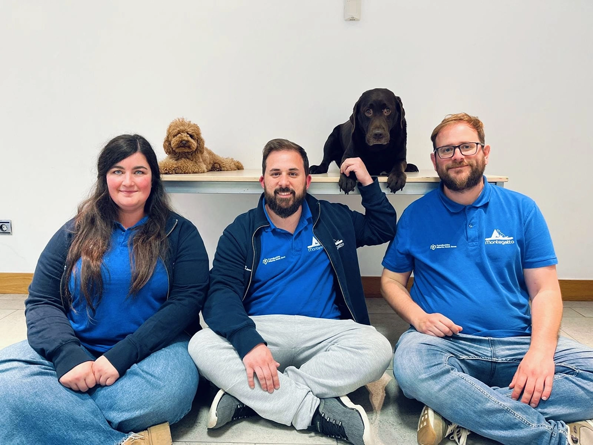 Participantes adultos con perros de terapia