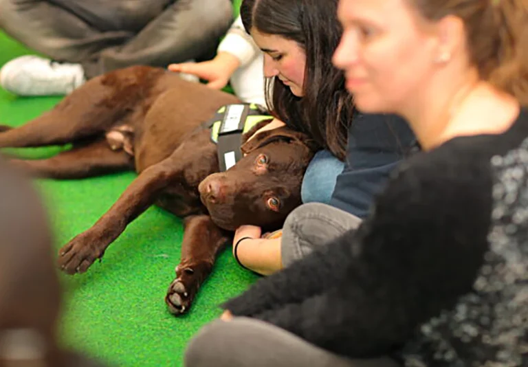 Perro de terapia con los participantes del programa