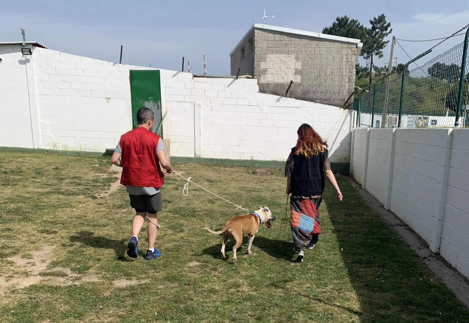 Profesional y participante paseando a un perro en un entorno seguro