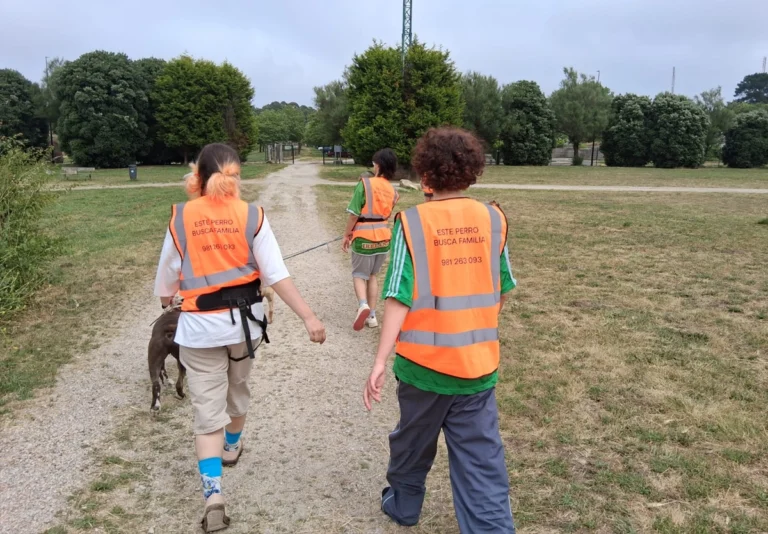 Jóvenes de entre 18 y 30 años en el campo