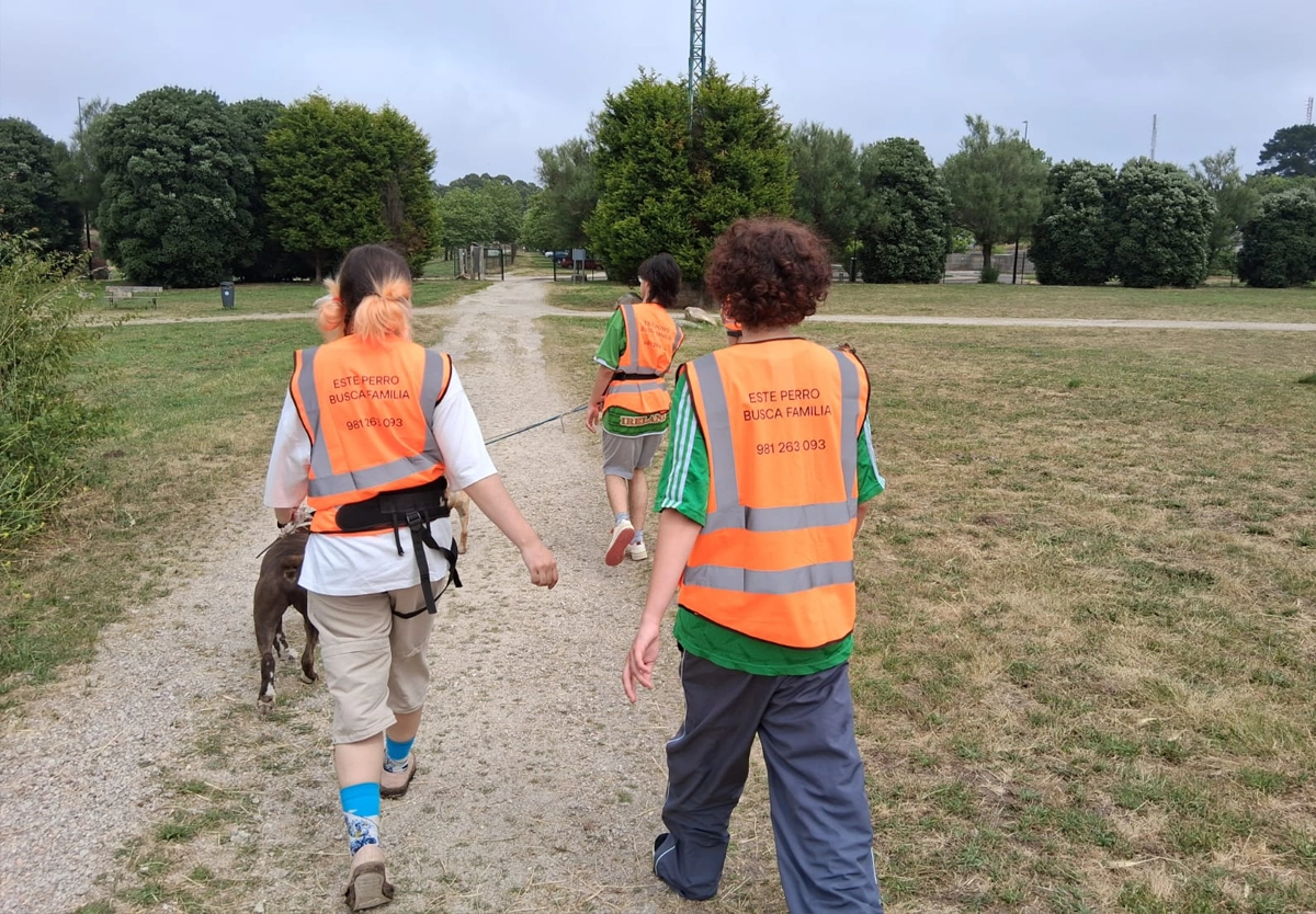 Jóvenes de entre 18 y 30 años en el campo