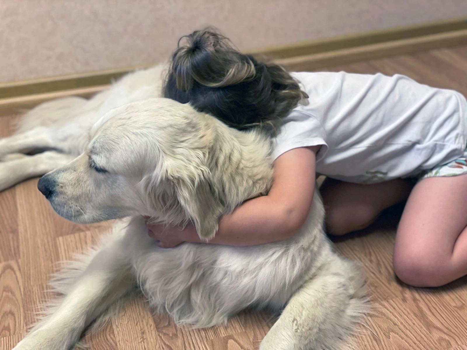 Niña abrazando a un perro de terapia