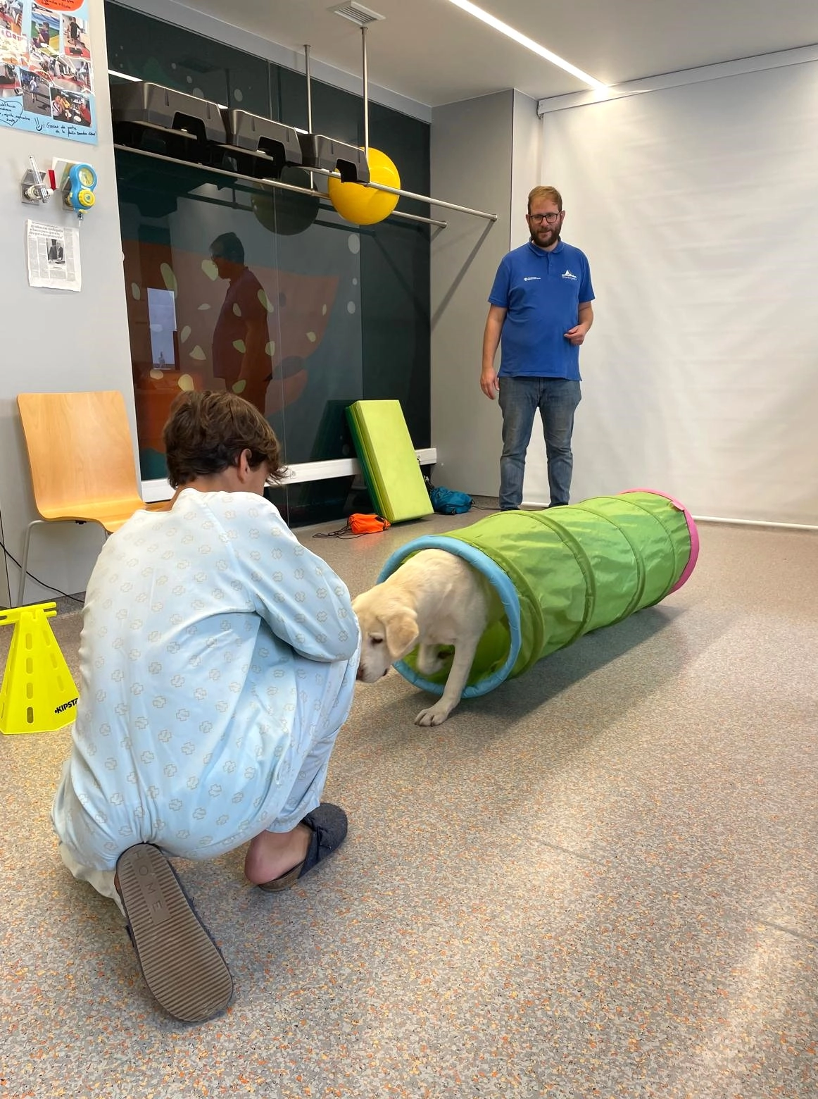Perro de terapia jugando con niño