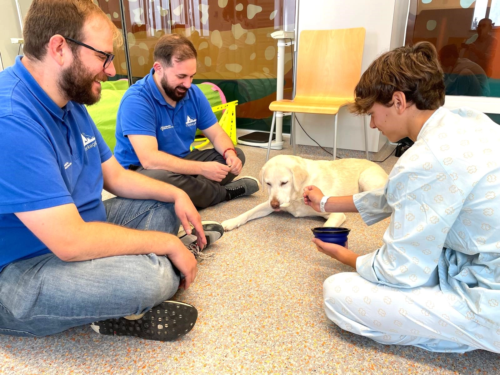 Niño dando de comer al perro de terapia